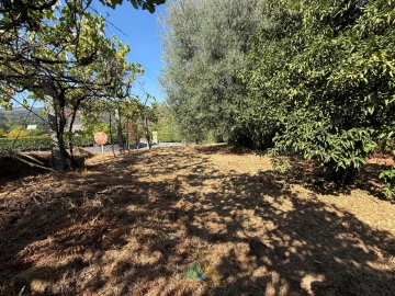 Quinta T3 para Venda em Touvedo (São Lourenço e Salvador)