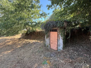 Quinta T3 para Venda em Touvedo (São Lourenço e Salvador)