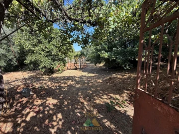 Quinta T3 para Venda em Touvedo (São Lourenço e Salvador)