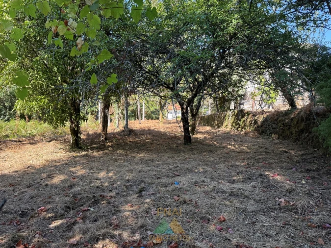 Quinta T3 para Venda em Touvedo (São Lourenço e Salvador) Foto 31