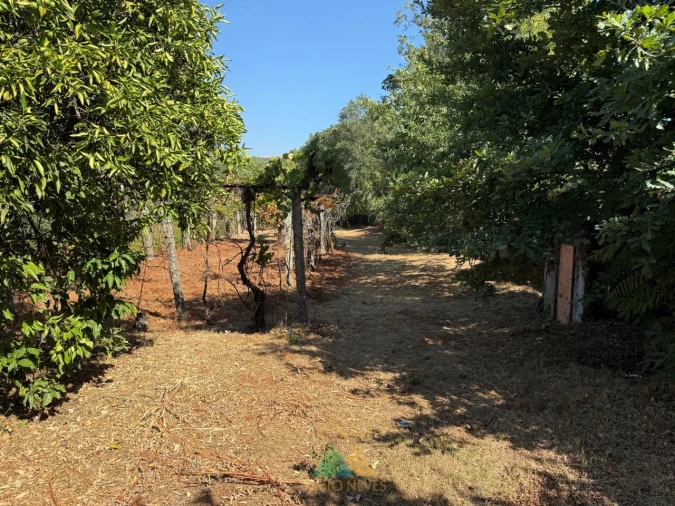 Quinta T3 para Venda em Touvedo (São Lourenço e Salvador) Foto 37