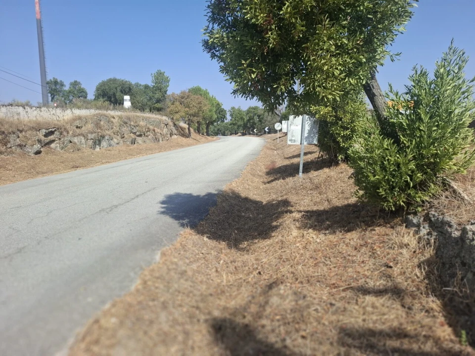 Quinta T6 para Venda em Alpalhão Foto 3