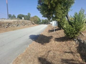 Quinta T6 para Venda em Alpalhão