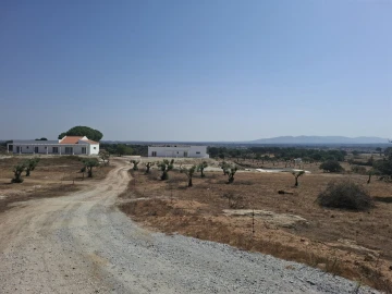 Quinta T6 para Venda em Alpalhão