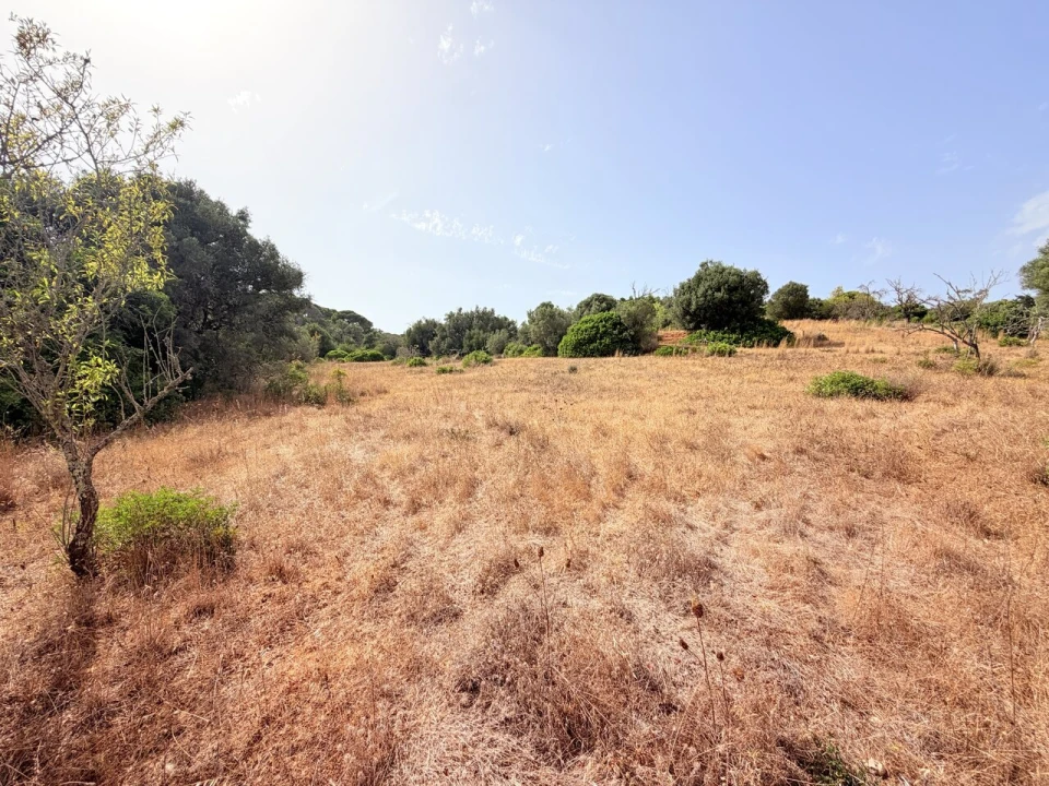 Terreno para Venda em Porches Foto 3