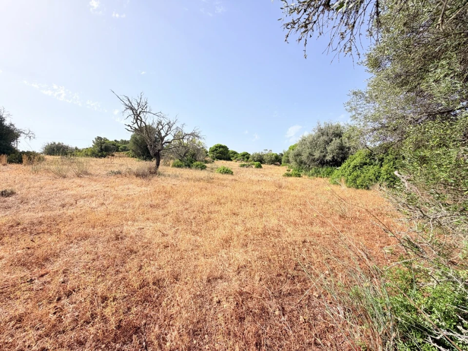 Terreno para Venda em Porches Foto 4