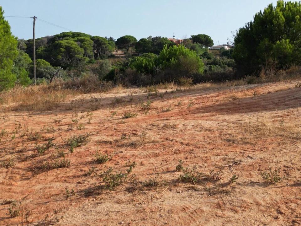 Terreno para Venda em Porches Foto 22