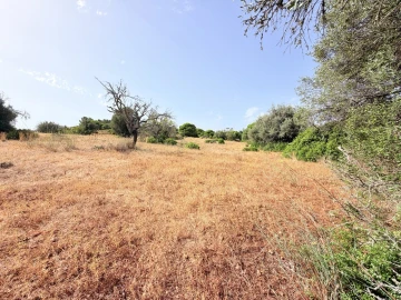 Terreno para Venda em Porches