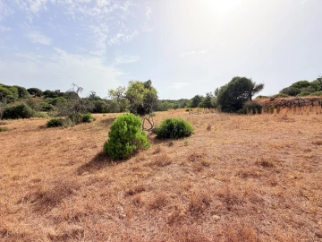 Terreno para Venda em Porches