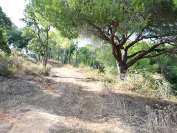 Terreno para Venda em Porches