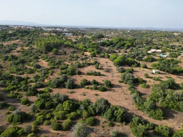Terreno para Venda em Porches