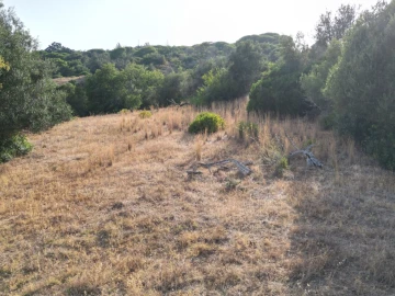 Terreno para Venda em Porches