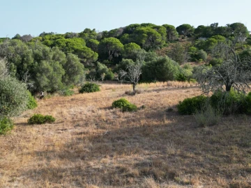 Terreno para Venda em Porches