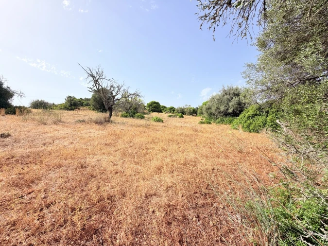 Terreno para Venda em Porches Foto 4