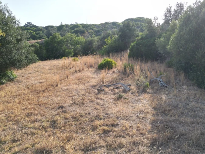 Terreno para Venda em Porches Foto 26