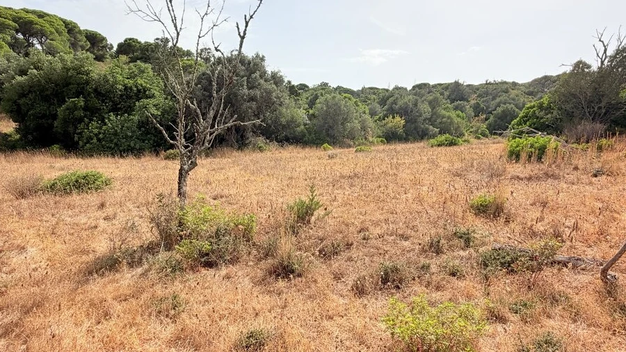 Terreno para Venda em Porches
