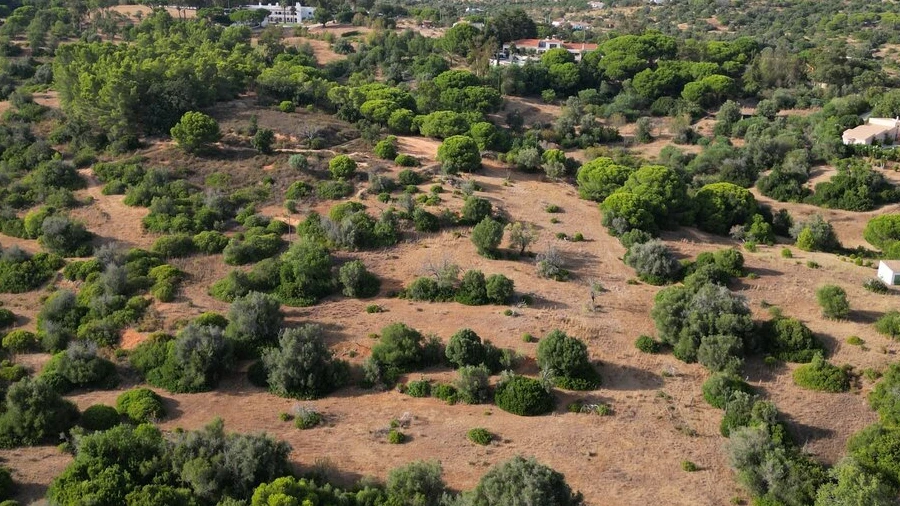 Terreno para Venda em Porches