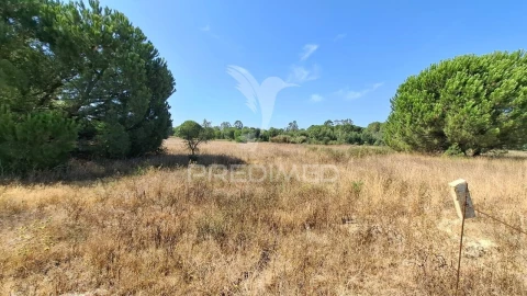 Terreno para Venda em Santo Estêvão