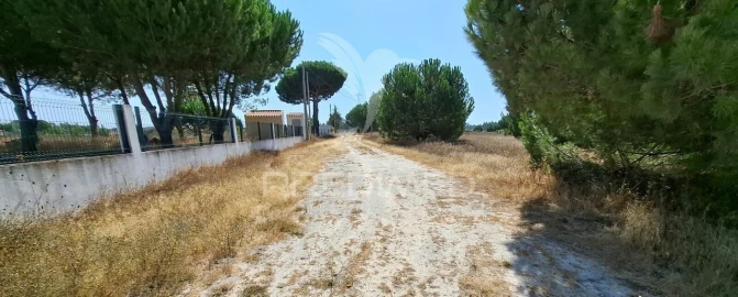 Terreno para Venda em Santo Estêvão