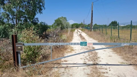 Terreno para Venda em Santo Estêvão