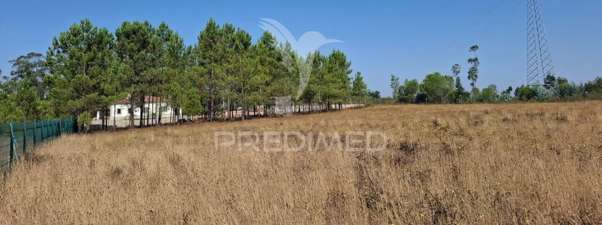 Terreno para Venda em Santo Estêvão Foto 3