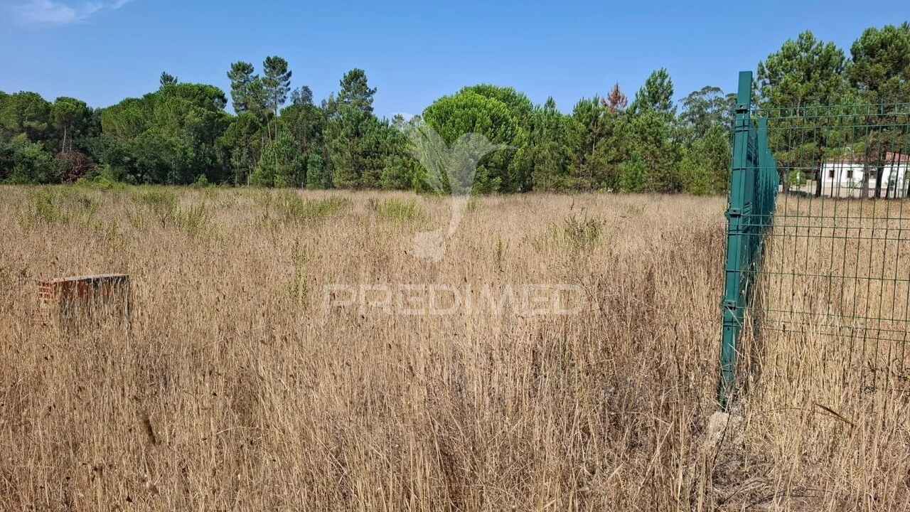 Terreno para Venda em Santo Estêvão Foto 5