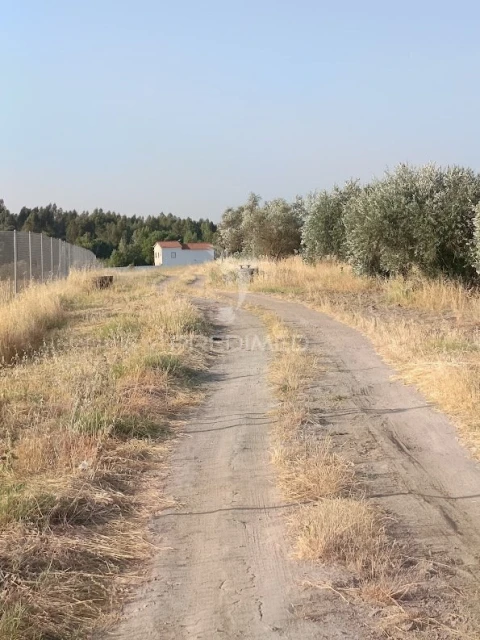 Terreno para Venda em Nossa Senhora da Expectação
