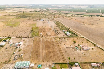 Terreno para Venda em Nossa Senhora da Expectação