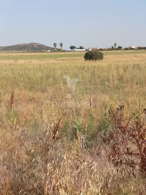 Terreno para Venda em Nossa Senhora da Expectação