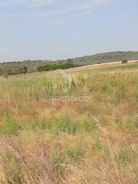 Terreno para Venda em Nossa Senhora da Expectação
