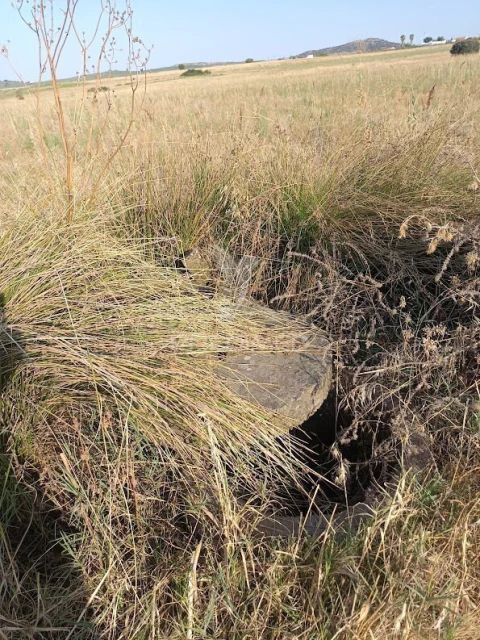 Terreno para Venda em Nossa Senhora da Expectação