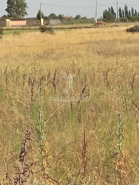 Terreno para Venda em Nossa Senhora da Expectação