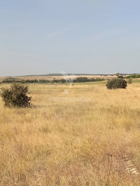 Terreno para Venda em Nossa Senhora da Expectação