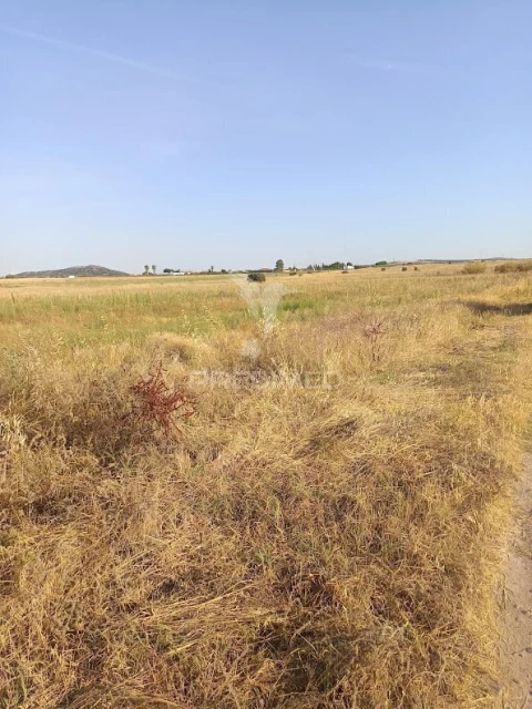 Terreno para Venda em Nossa Senhora da Expectação