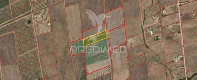 Terreno para Venda em Nossa Senhora da Expectação