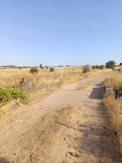 Terreno para Venda em Nossa Senhora da Expectação