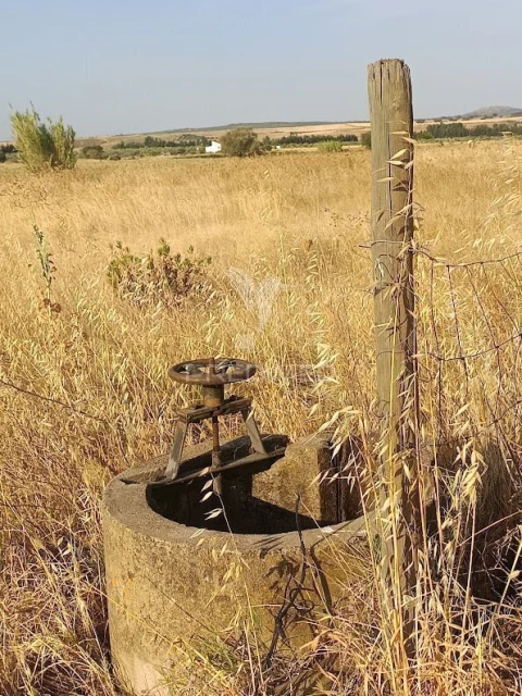 Terreno para Venda em Nossa Senhora da Expectação