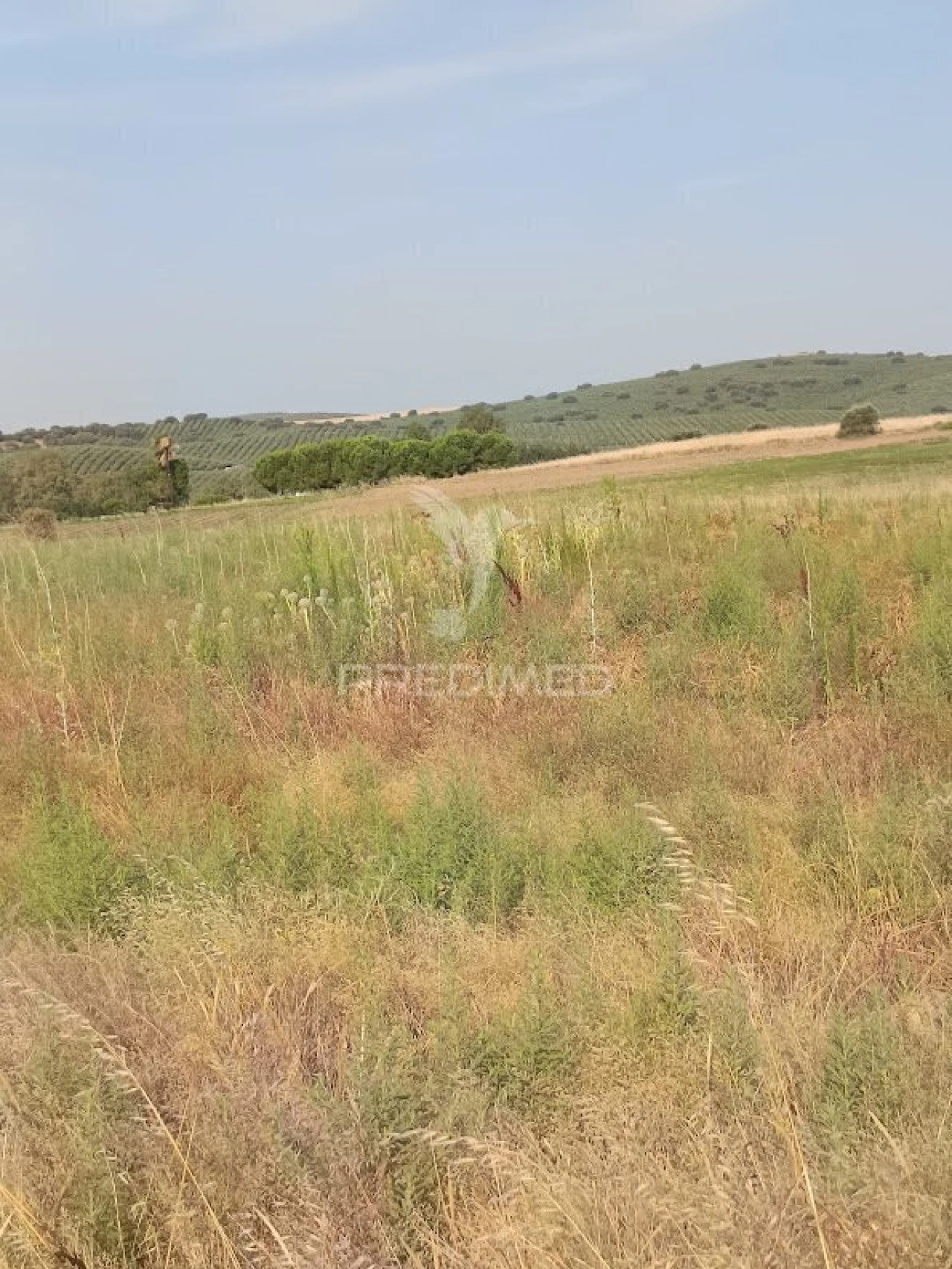 Terreno para Venda em Nossa Senhora da Expectação Foto 24