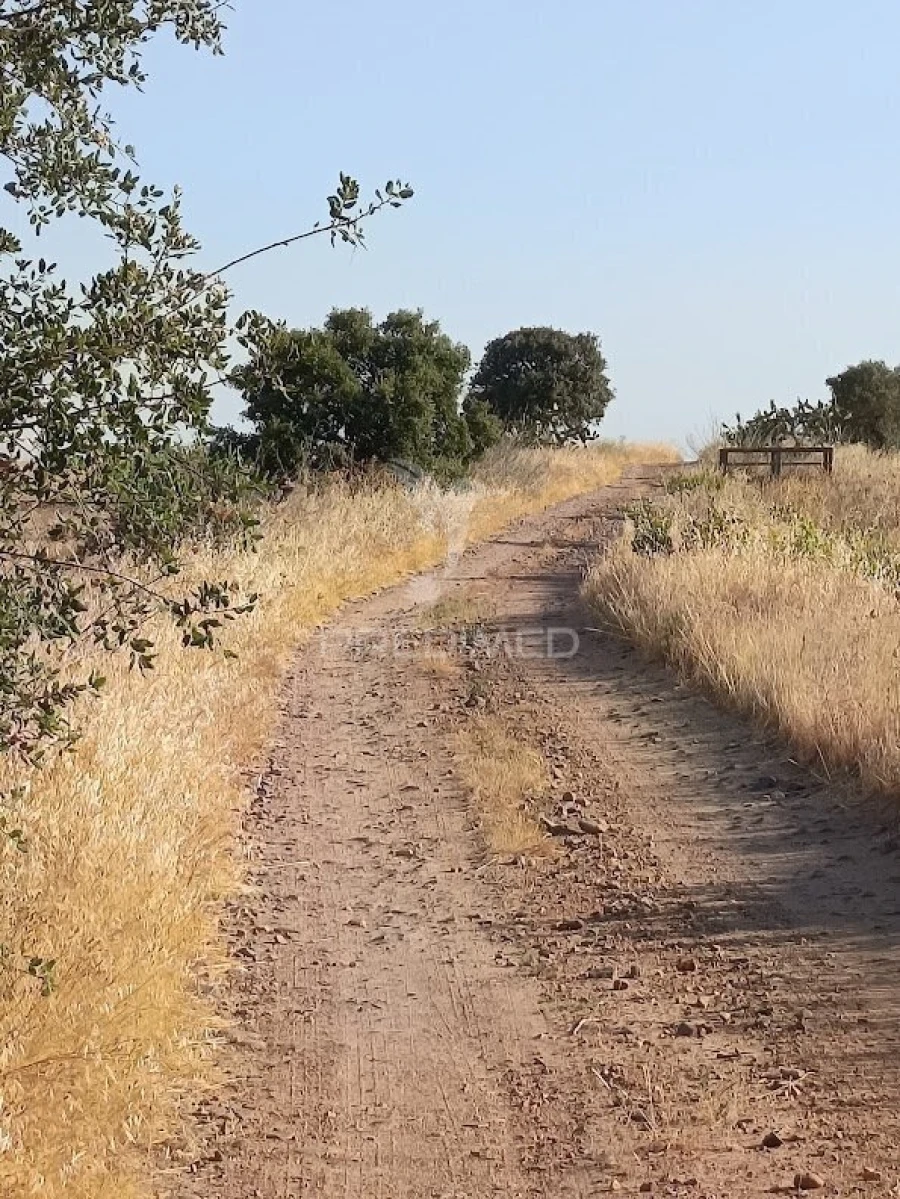 Terreno para Venda em Nossa Senhora da Expectação Foto 37