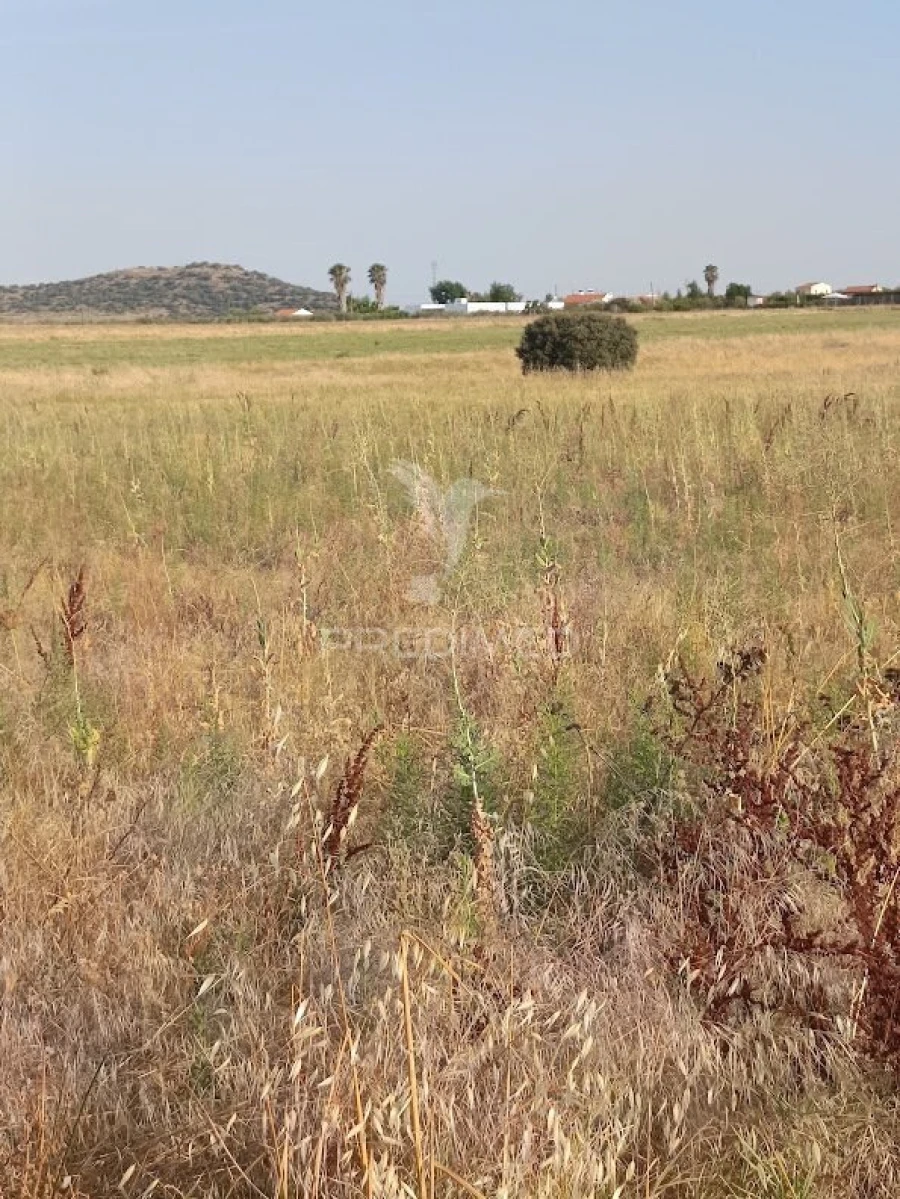 Terreno para Venda em Nossa Senhora da Expectação Foto 28