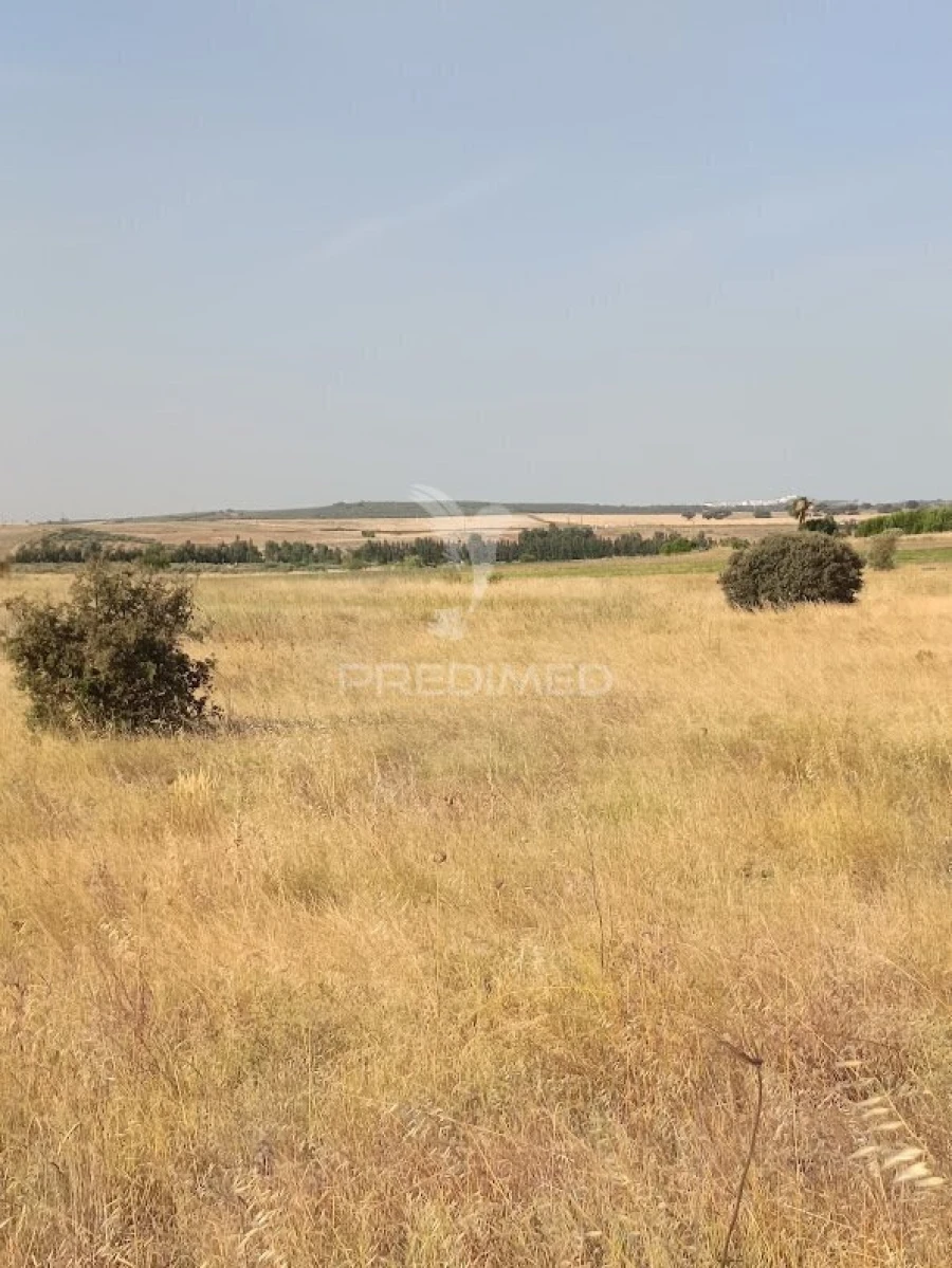 Terreno para Venda em Nossa Senhora da Expectação Foto 36