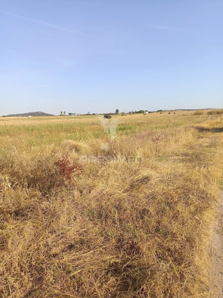 Terreno para Venda em Nossa Senhora da Expectação Foto 9