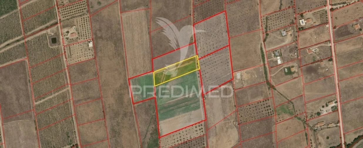 Terreno para Venda em Nossa Senhora da Expectação Foto 10