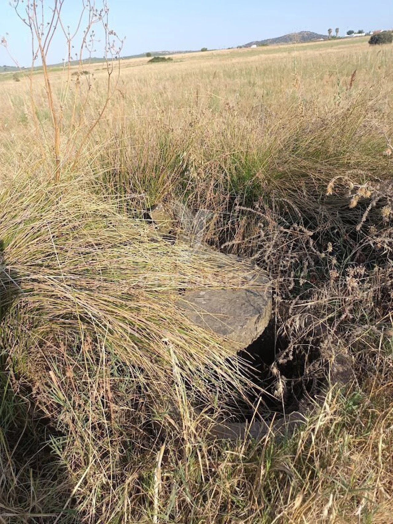 Terreno para Venda em Nossa Senhora da Expectação Foto 26