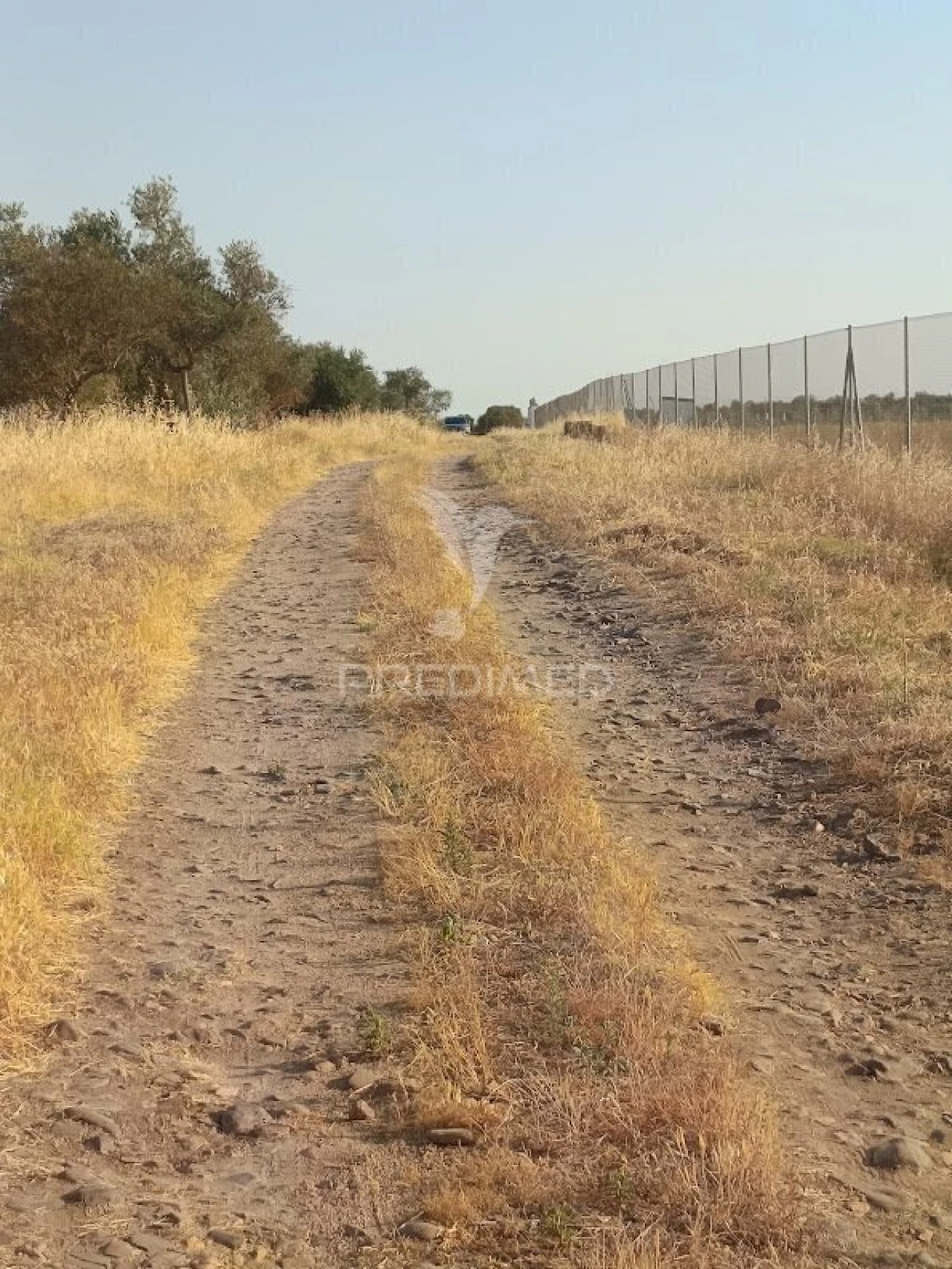 Terreno para Venda em Nossa Senhora da Expectação Foto 18