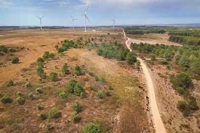 Terreno para Venda em Vila do Bispo e Raposeira