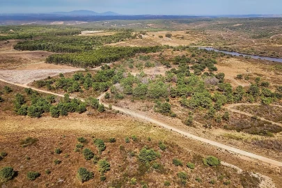 Terreno para Venda em Vila do Bispo e Raposeira