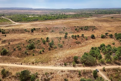Terreno para Venda em Vila do Bispo e Raposeira
