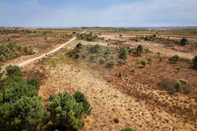 Terreno para Venda em Vila do Bispo e Raposeira