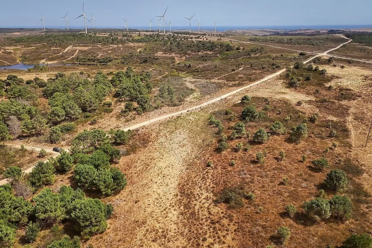 Terreno para Venda em Vila do Bispo e Raposeira Foto 6